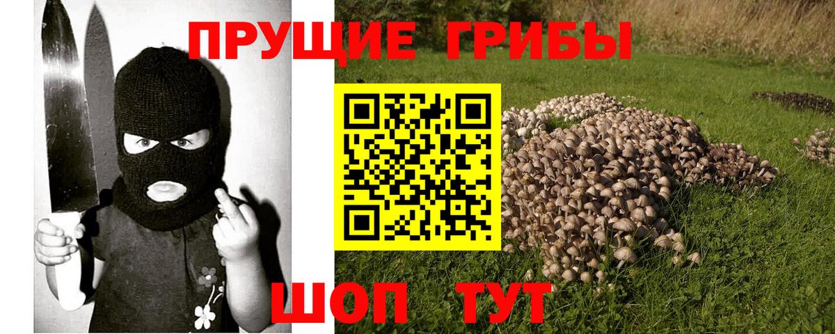 Галлюциногенные грибы Cubensis Заринск