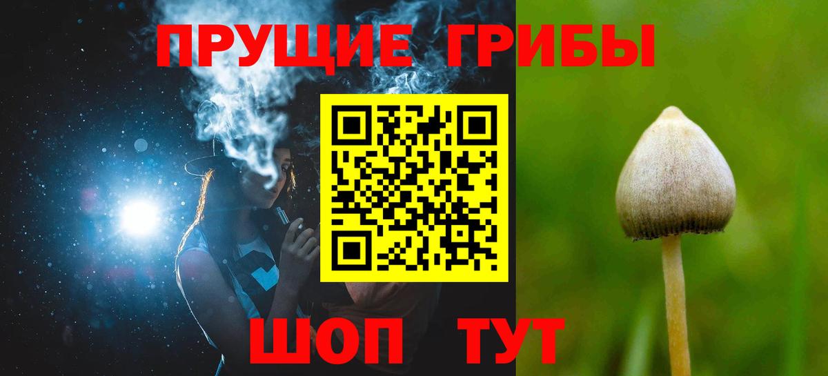 Галлюциногенные грибы Magic Shrooms  Вход с VPN  Заринск 